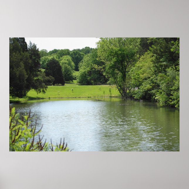 Bernheim Forest Pond Print Poster (Vorne)