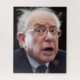 Bernie Sanders Puzzle
