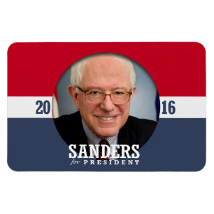 BERNIE-SANDPAPIERSCHLEIFMASCHINEN 2016 MAGNET