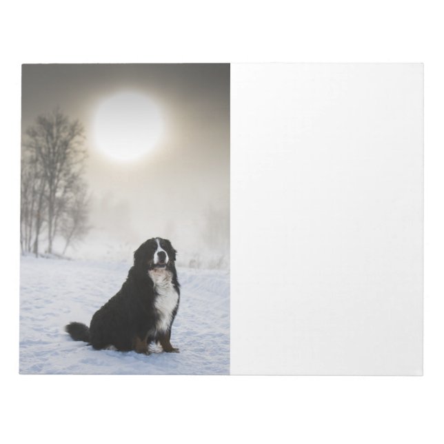 bernischer Berghund im Schnee Notizblock (Vorderseite)