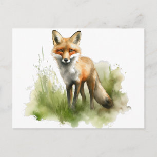 Bernsteinblick: Wiesenfuchs, individuell Postkarte