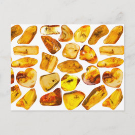 Bernsteineinschlüsse Postkarte