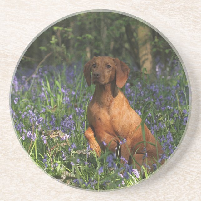 Bernsteinfarbig Getränkeuntersetzer (Vorne)