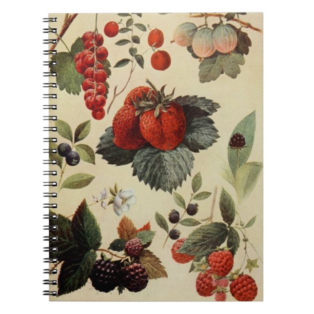 BERRIES BERRIES Notebook Notizblock (Vorderseite)
