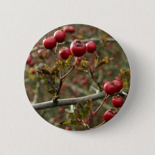 Berries Button