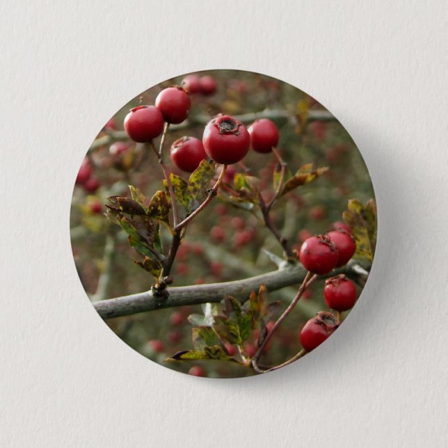 Berries Button (Vorderseite)