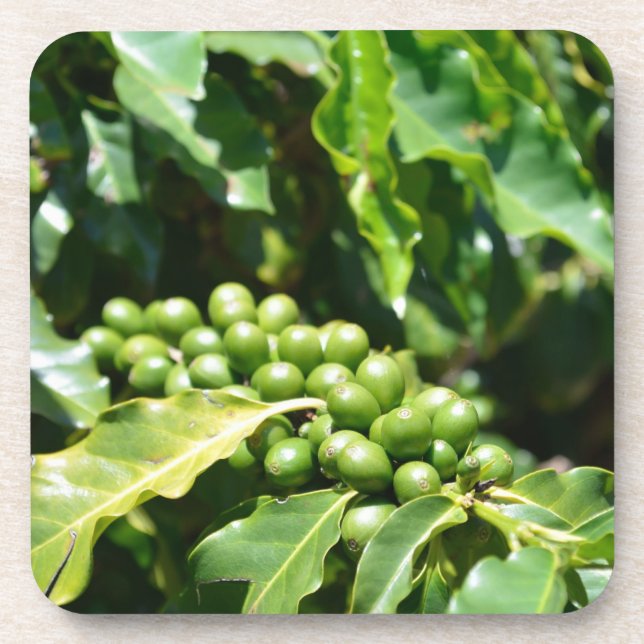 Berries Cork Untersetzer (Vorderseite)