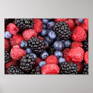 Berries Heidelbeere BlackBerry Himbeerposter Poster