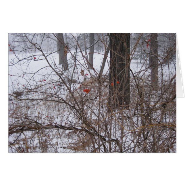 Berries im Schnee (Vorderseite (Horizontal))