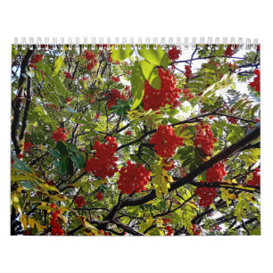 Berries Kalender