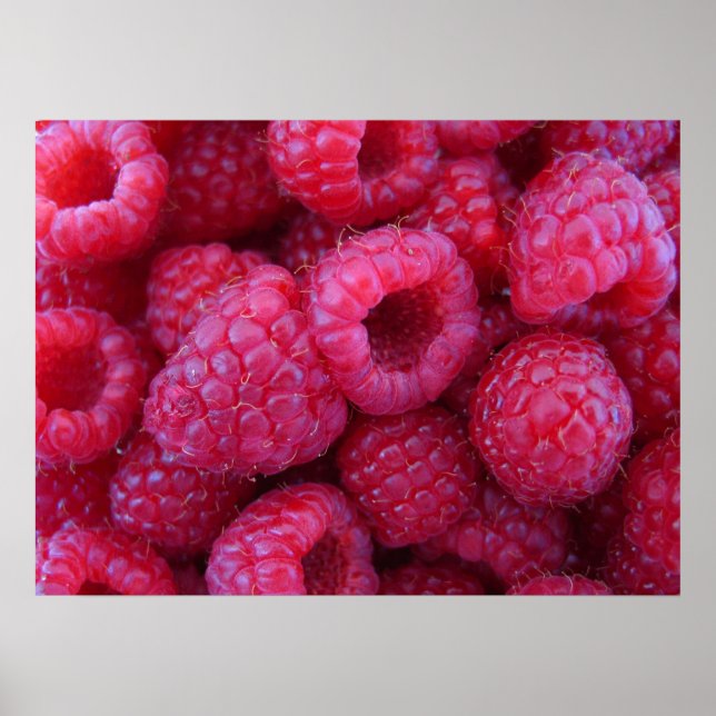 Berries Poster (Vorne)