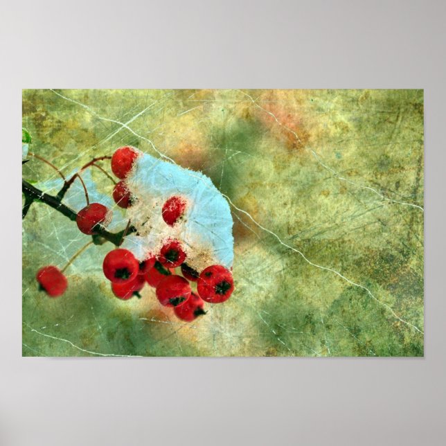 Berries Poster (Vorne)