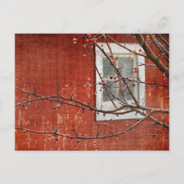 Berries und Barn Postkarte