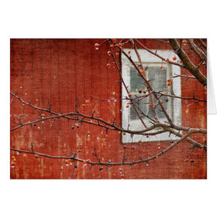 Berries und Roter Stall