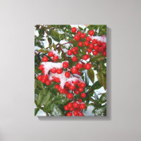 Berries und Schnee!