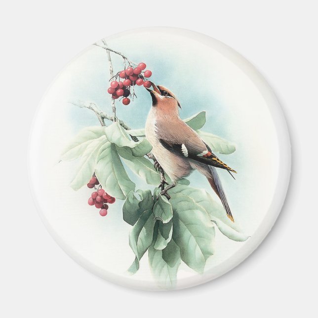 Berries zum Essen Magnet (Vorne)