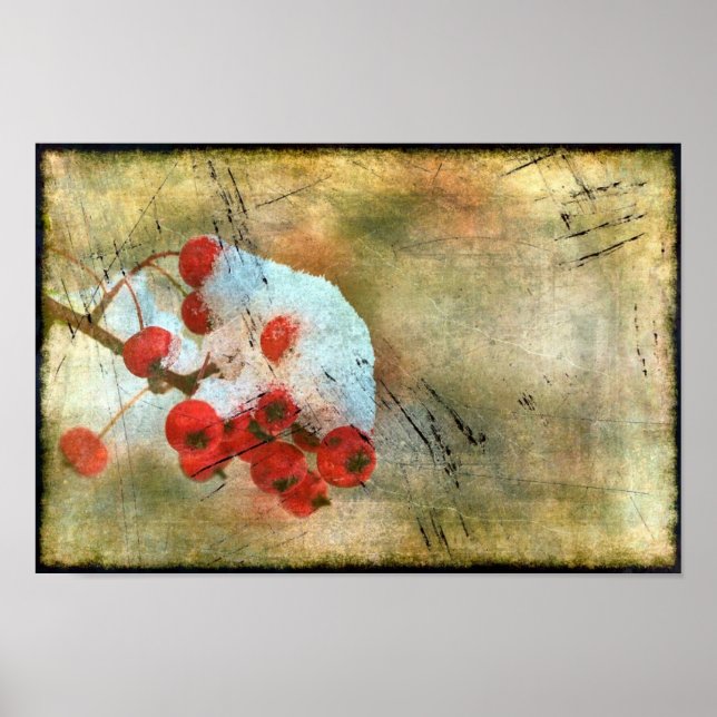 Berry Cold Grunge Poster (Vorne)