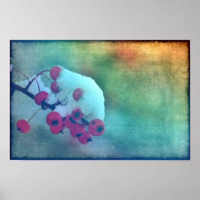 Berry Cold Poster (Vorne)