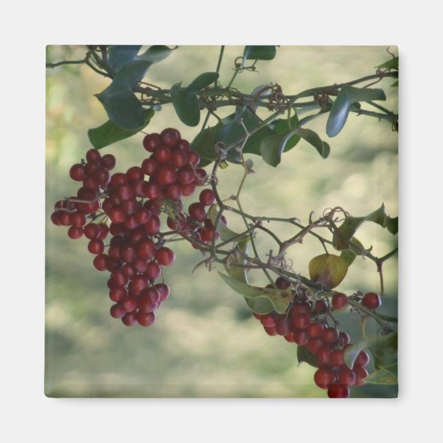 Berry Magnet (Vorne)