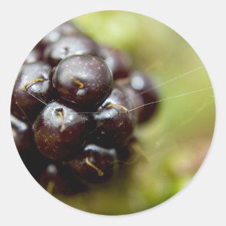 Berry Nice Runder Aufkleber