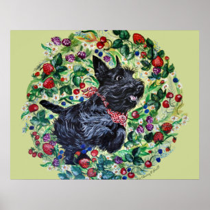 Berry Scottish Terrier! Poster