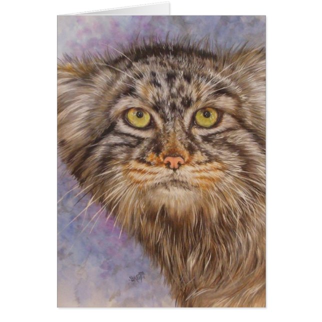 Berry's Pallas Cat (Vorne)