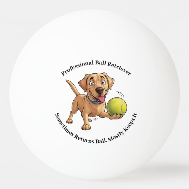 Beruflich Ball Retriever Pong Ball Tischtennisball (Vorderseite)