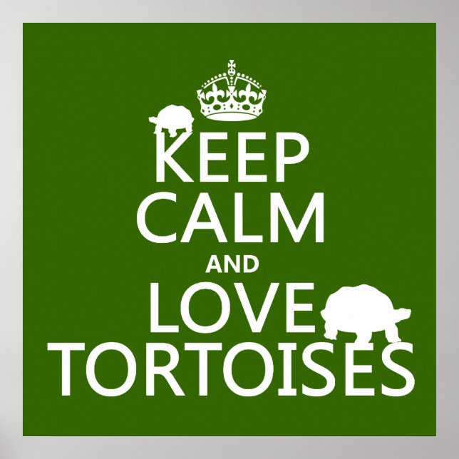 Beruhige und Liebe-Tortoise (in beliebiger Farbe)  Poster (Vorne)
