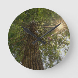 Beruhigende Sequoia mit Sunburst Nature Foto Runde Wanduhr