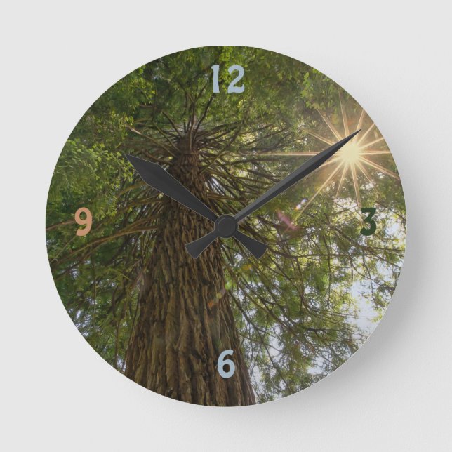 Beruhigende Sequoia mit Sunburst Nature Foto Runde Wanduhr (Vorderseite)