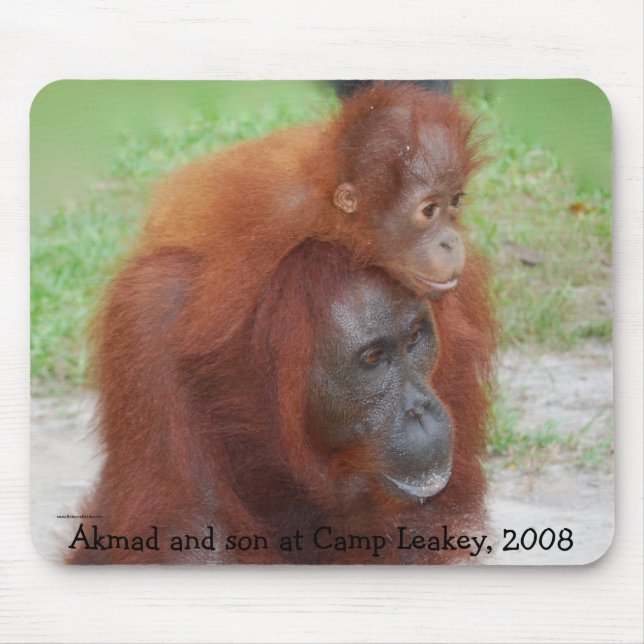 Berühmte Orang-Utan Mutter Mousepad (Vorne)