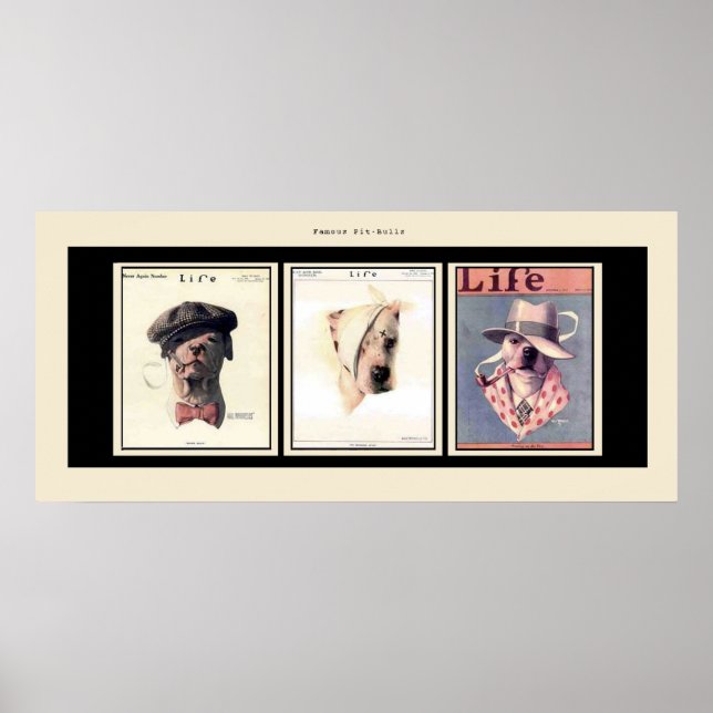 Berühmte Pit Bulls Poster (Vorne)