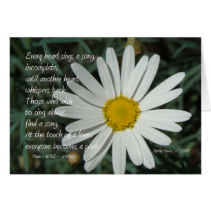 Berühmte Worte: Song - White Daisy Card Series (6)