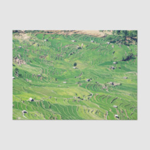 Berühmte Yuanyang-Reisterrassen - Yunnan, China Seidenpapier