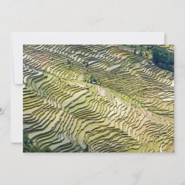 Berühmte Yuanyang Rice Terraces - Yunnan, China Einladung (Vorderseite)