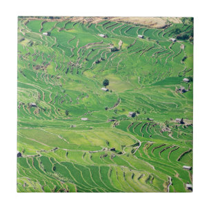 Berühmte Yuanyang Rice Terraces - Yunnan, China Fliese