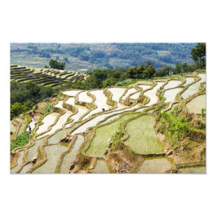 Berühmte Yuanyang Rice Terraces - Yunnan, China Fotodruck