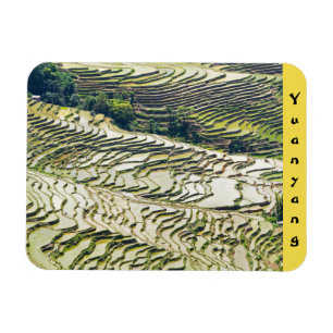 Berühmte Yuanyang Rice Terraces - Yunnan, China Magnet