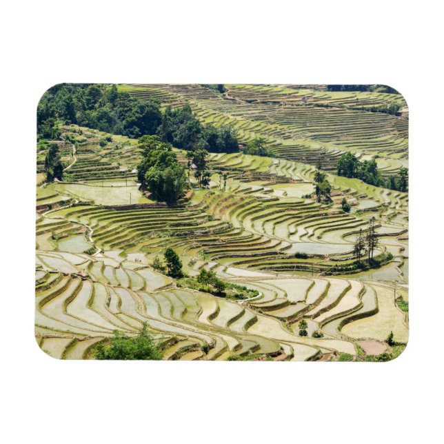 Berühmte Yuanyang Rice Terraces - Yunnan, China Magnet (Horizontal)