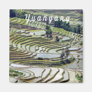 Berühmte Yuanyang Rice Terraces - Yunnan, China Magnet