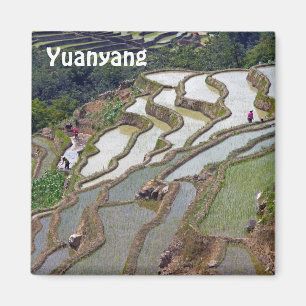 Berühmte Yuanyang Rice Terraces - Yunnan, China Magnet