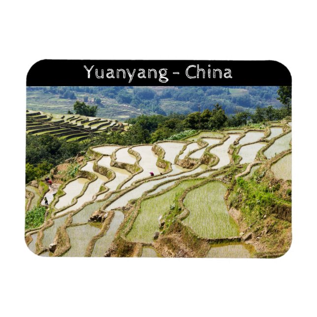 Berühmte Yuanyang Rice Terraces - Yunnan, China Magnet (Horizontal)