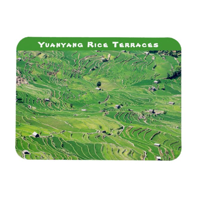 Berühmte Yuanyang Rice Terraces - Yunnan, China Magnet (Horizontal)