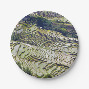 Berühmte Yuanyang Rice Terraces - Yunnan, China Pappteller