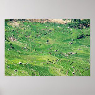 Berühmte Yuanyang Rice Terraces - Yunnan, China Poster