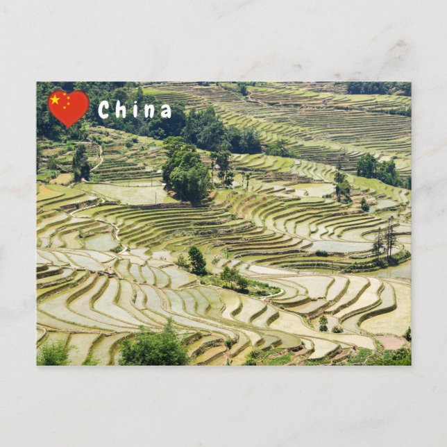 Berühmte Yuanyang Rice Terraces - Yunnan, China Postkarte (Vorderseite)