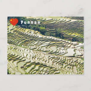 Berühmte Yuanyang Rice Terraces - Yunnan, China Postkarte