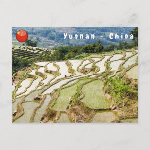 Berühmte Yuanyang Rice Terraces - Yunnan, China Postkarte