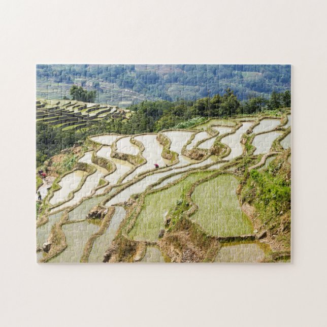 Berühmte Yuanyang Rice Terraces - Yunnan, China Puzzle (Horizontal)