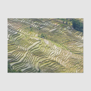 Berühmte Yuanyang Rice Terraces - Yunnan, China Seidenpapier